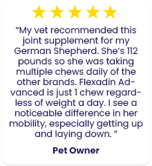 fa-testimonial-4