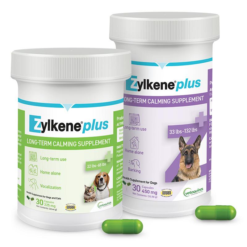 Zylkene® Plus